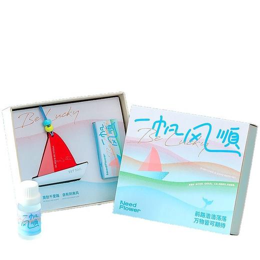 一帆风顺香薰礼盒考试季毕业礼物伴手礼香薰石膏散香扩香石生日礼物 商品图9