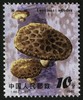 T66《食用菌》1981年 商品缩略图5
