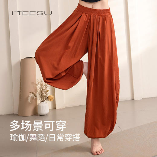 美愫经典款瑜伽裤女禅服中国风时尚印花运动健身裤灯笼裤舞蹈训练裤 商品图0