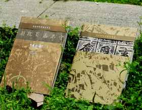 绝版！！书法田野考察成果集两种：《千唐志斋六十品卷》+《龙门造像题记》，16开，铜版纸印刷，王镛主编，河北美术出版社2008年一版一印，276元，售价78元。品95成。