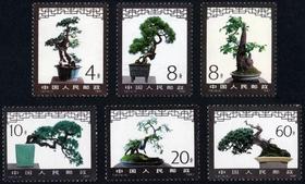 T61《盆景艺术》1981年