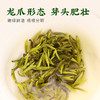 茶叶 绿茶 2025茶 新茶 蒙顶甘露 特级绿茶 龙芽大师 匠心 茶饮 100g 商品缩略图4