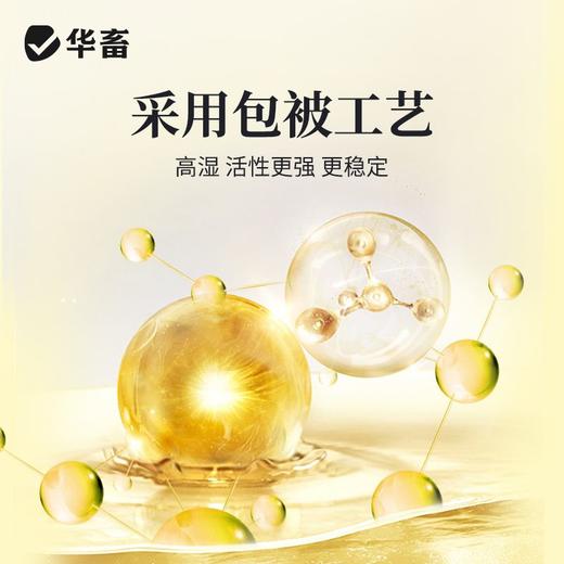 华畜超浓缩vc应激灵鱼虾蟹抗应激水产用保苗助长维生素多维应激宝 商品图2