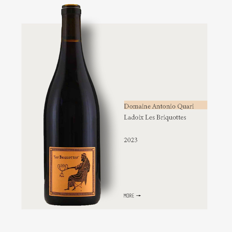 Domaine Antonio Quari Ladoix Les Briquottes 2023安东尼奥夸瑞酒庄拉都瓦布里高特干红2023
