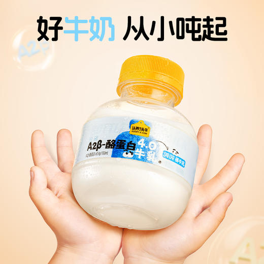 认养一头牛-冷藏-A2吨吨牛乳200ml-10瓶装 商品图6