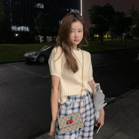 古驰Supreme帆布樱桃迷你手袋（HH）