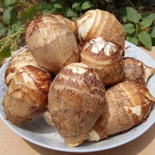 云南牛奶小芋头  单果30-60g 商品图0