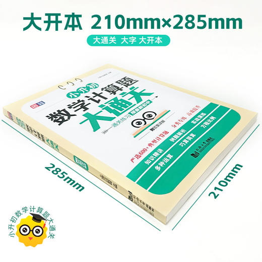小升初数学计算题大通关 商品图1