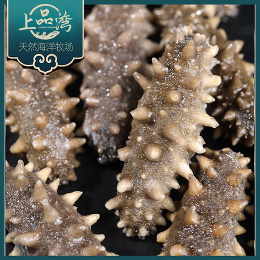 【北京卫视专享】辽宁大连鲜食高压普口海参500g装5~8头 商品图2