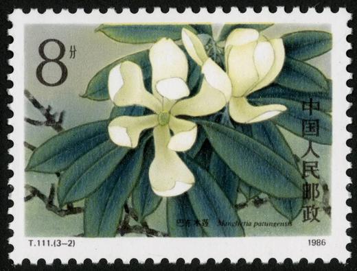 T111《珍稀濒危木兰科植物》1986年 商品图2