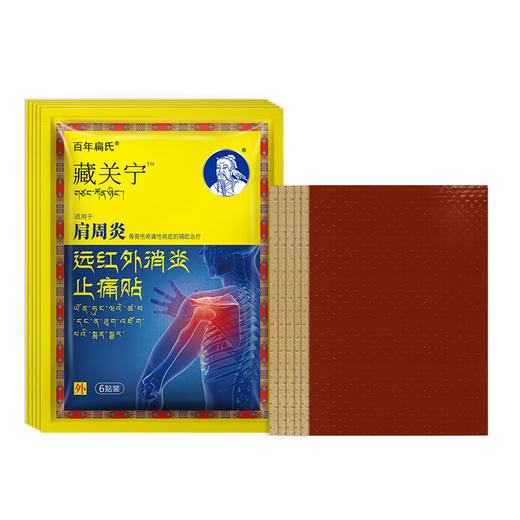 百年扁氏藏关宁肩周贴 商品图4