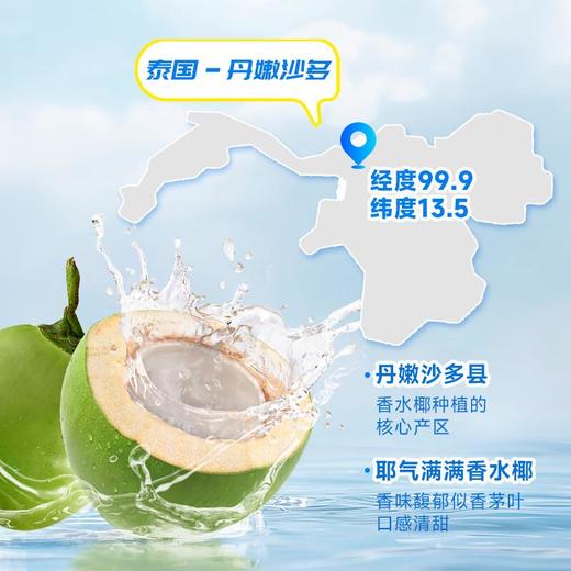 耶气满满 100%香水椰椰子水 300ml/瓶 商品图1
