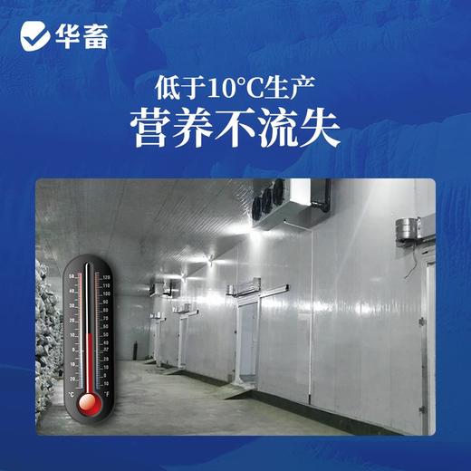 华畜超浓缩vc应激灵鱼虾蟹抗应激水产用保苗助长维生素多维应激宝 商品图3