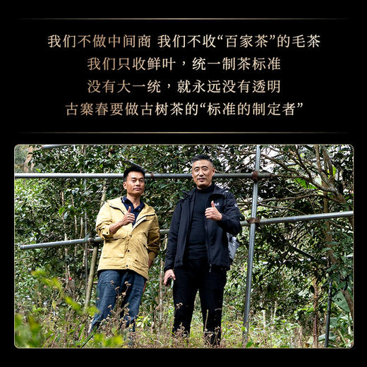 【2025年春茶】【铜箐河】2025年乙巳蛇年生肖纪念饼重磅来袭！生肖茶饼界的无敌断货王，店铺必囤产品，选它准没错！357克/饼 商品图2