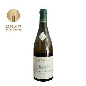 米歇尔格罗斯酒庄上夜丘圣马丁之泉独占园白葡萄酒2022 Domaine Michel Gros Bourgogne Fontaine St Martin Blanc