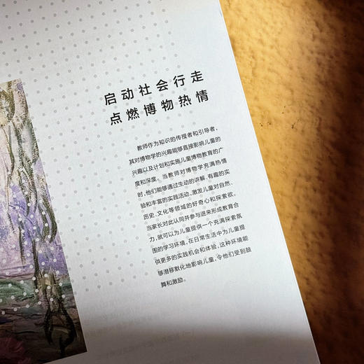 园启班承 构建富有博物意识的幼儿园课程 顶层设计 班本创新 商品图6