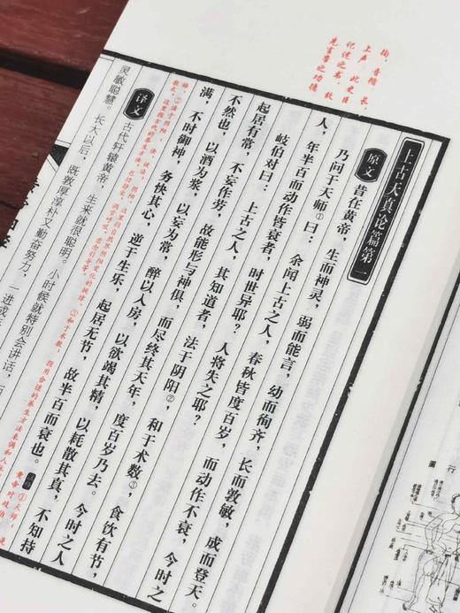 《黄帝内经》，线装一函，全六册，开本：175*285mm，489个筒子页，扬州文津阁古籍印务有限公司印制，万卷图书公司2011年二版三印，定价720，售价：248元，品相95成。 商品图11