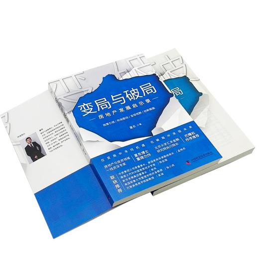 变局与破局 房地产发展启示录 商品图4