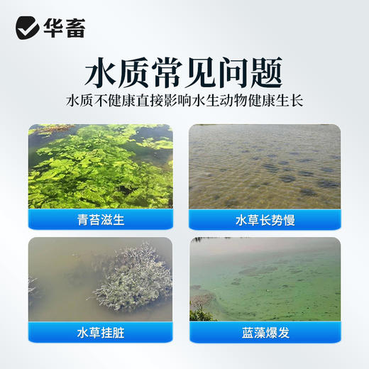 矿源黄腐酸钾20斤去除青苔培水育藻促水草生根改善水色 商品图2