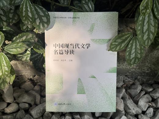中国现当代文学名篇导读 商品图1