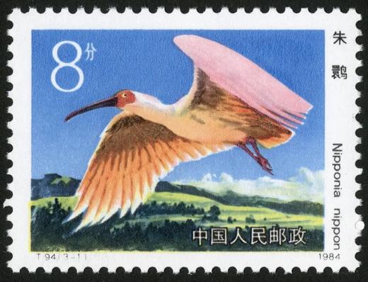 T94《朱鹮》1984年 商品图1