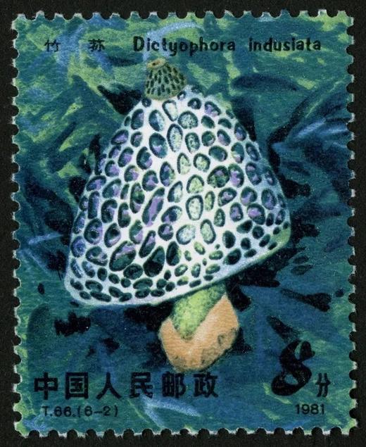 T66《食用菌》1981年 商品图2