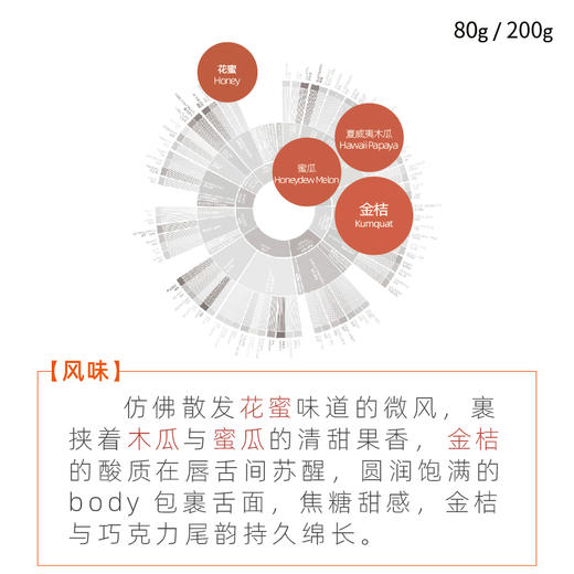 埃塞TOH瓜瓜世界咖啡豆蜜处理耶加雪菲手冲新鲜烘焙 商品图1