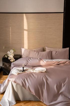 轻奢高级感天丝棉四件套（一口价，默认床单款）