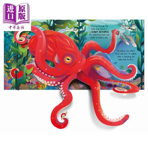 【中商原版】尤斯伯恩立体书 海洋 Pop-up Ocean 英文原版 自然科学立体绘本 包含五个精彩的弹出式故事 科普读物 进口童书 商品图2