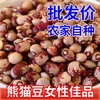 【香糯可口❗精选熊猫豆】源自云南大山深处，粒粒精选圆润饱满，熊猫豆云南花饭豆，花豆子煮粥煲汤打豆浆的豆子五谷杂L 商品缩略图1