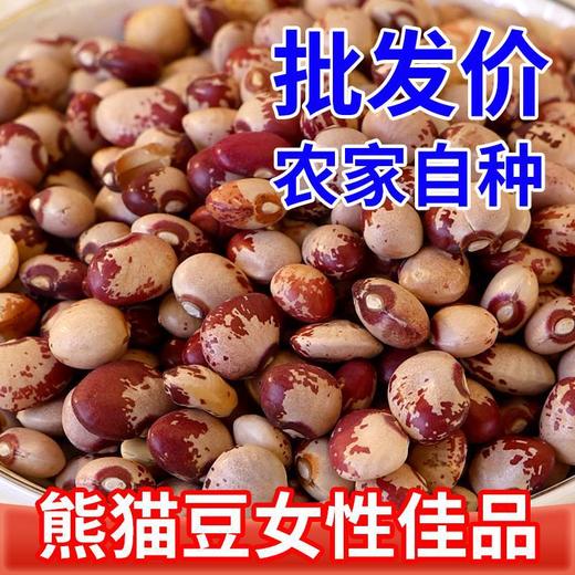 【香糯可口❗精选熊猫豆】源自云南大山深处，粒粒精选圆润饱满，熊猫豆云南花饭豆，花豆子煮粥煲汤打豆浆的豆子五谷杂L 商品图1