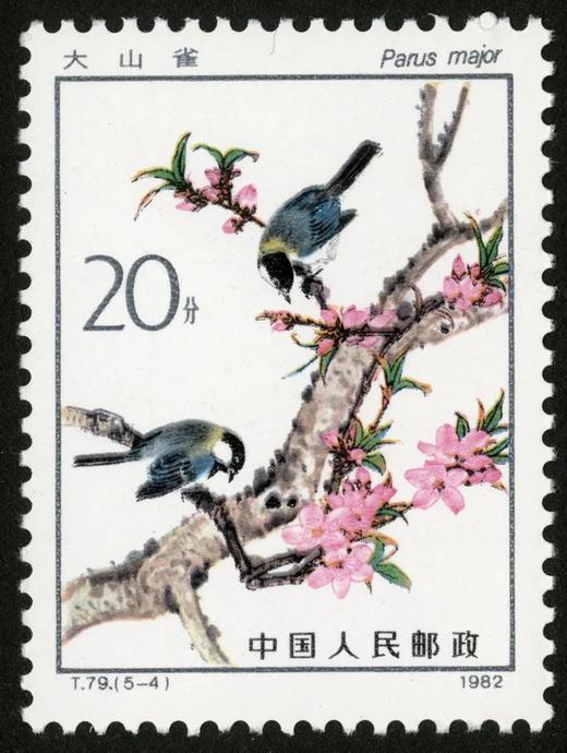 T79《益鸟》1982年 商品图4