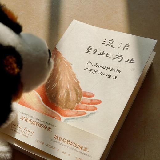 流浪到此为止：我与600只动物不可思议的生活（美）劳丽·扎列斯基 著 家暴中脱逃的母亲 拯救动物 被动物拯救 治愈故事 世界破破烂烂 小动物缝缝补补 女性 励志 成长 动物救助 猫 狗 生命 平等 商品图5