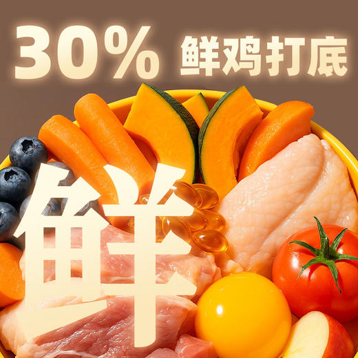 冒险与它F32繁育全价犬粮10kg 32%粗蛋白鸡肉配方 全渠道可售 犬舍主粮批发 商品图3
