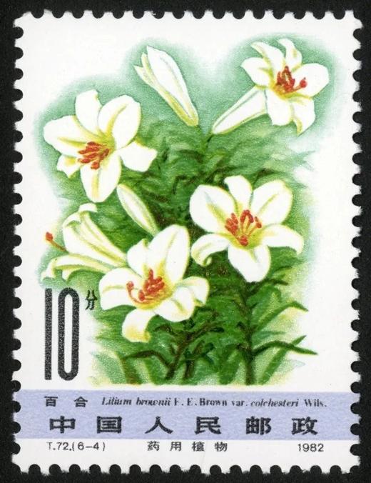 T72：药用植物（第二组）1982年 商品图4