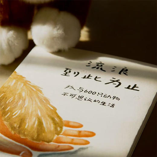 流浪到此为止：我与600只动物不可思议的生活（美）劳丽·扎列斯基 著 家暴中脱逃的母亲 拯救动物 被动物拯救 治愈故事 世界破破烂烂 小动物缝缝补补 女性 励志 成长 动物救助 猫 狗 生命 平等 商品图4