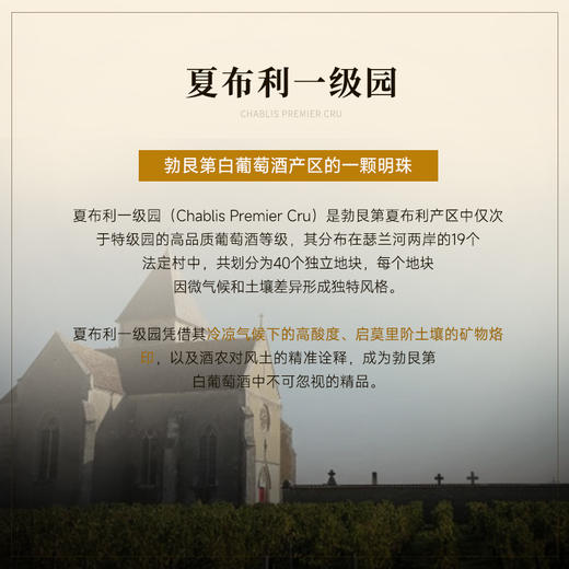 【夏布利一级园】查维勃艮第一级园干白 荣获四大金奖 12月橡木桶陈酿 百年藤木酿造 法国进口 13.5%vol 商品图2