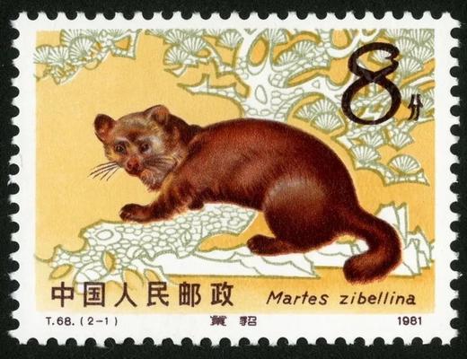 T68《紫貂》1982年 商品图1