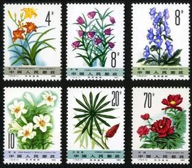 T72：药用植物（第二组）1982年