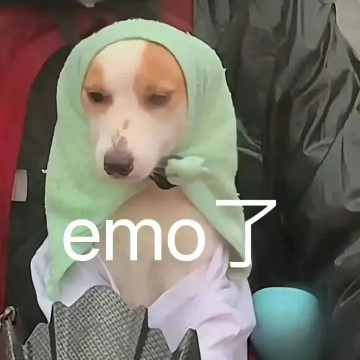 表情包来了 脑壳痛 真想口吐芬芳呢 痛苦面具 躺平摆烂 生日快乐……