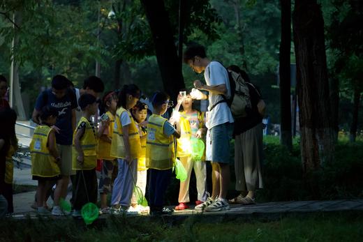 5.23/5.30❗️【夜场夜探】虫虫特工队昆虫探索，了解不同昆虫生活习性，观察、寻找、采集昆虫标本！5岁以上可亲子，可单飞 商品图2