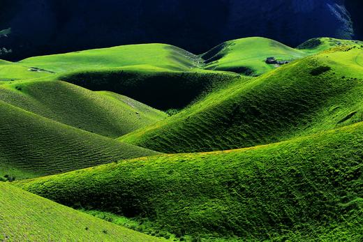 【新疆伊犁12天】绝美新疆 天山伊犁 草原花海深度行摄 商品图14