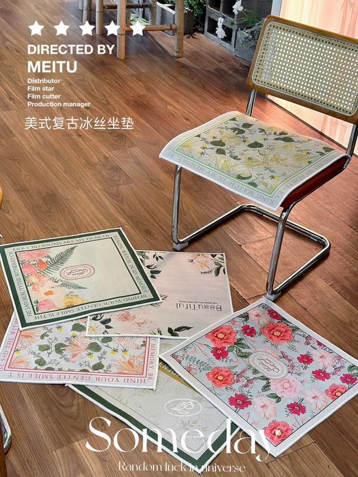 （50X50）🌞夏日新宠【美式复古冰丝坐垫】，降温神器🧊久坐打工人彻底离不开这个冰丝坐垫了!! ✨夏天来啦，久坐的屁股出汗🔥，黏着裤子真的很难受!! 商品图1