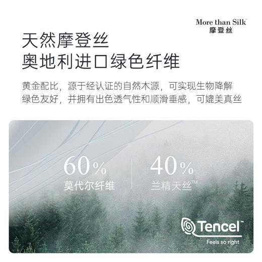 雅芳婷摩登丝床笠款睡之锦囊亲肤透气被套薄被芯丝滑套件 商品图1
