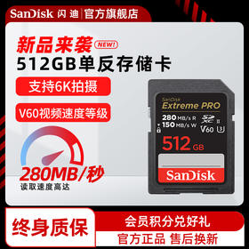 SDSDXEP-512G-ZN4IN