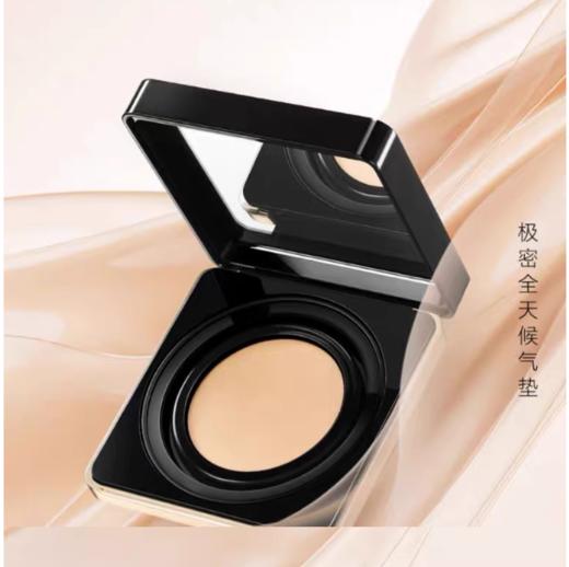 雅丽洁极密精华气垫粉底霜（亮肤色）/自然色） 送极密中样1支（随机） 商品图1
