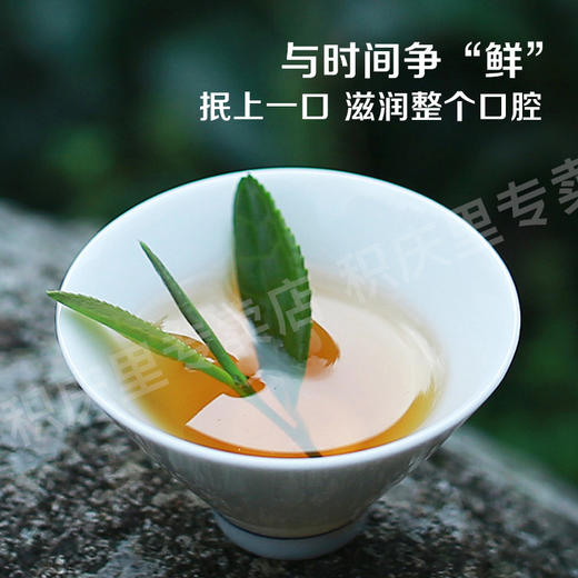 英德红茶 积庆里·三月春·春晓 明前春茶  滋味更鲜爽甜润 商品图2
