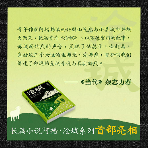 【限量亲签】沧城 滇西北在地气息+神秘的边地文化+引人入胜的故事 商品图1
