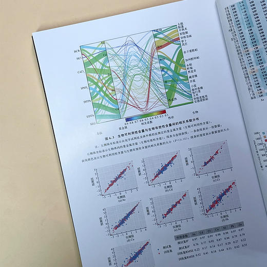 土壤环境基准与风险评估关键技术及案例 商品图5