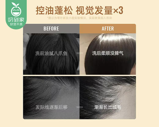 【预售-4月10日配送】琴叶生姜保湿侧柏叶防脱发洗发水/1瓶（1000ml） 商品图3